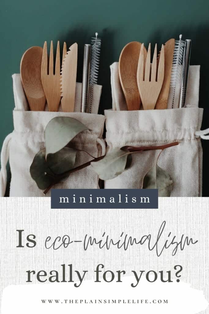 Is eco-minimalism really for you Pinterest Pin
