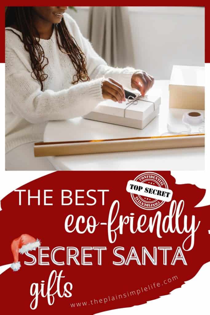 Eco-friendly Secret Santa Gifts pin